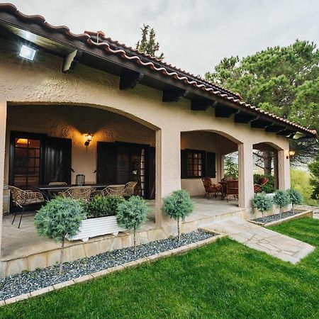 The Tree House Villa Agios Andreas  Exterior photo